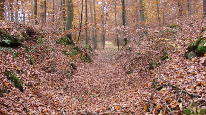 Ritterstein Nr. 226-5 Alte Strasse  Keltenzeit - Mittelalter  Spurrillen - Damm.JPG - Ritterstein Nr.226 Alte Strasse - Keltenzeit - Mittelalter - Spurrillen - Damm